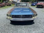 Thumbnail Photo 93 for 1967 Ford Mustang
